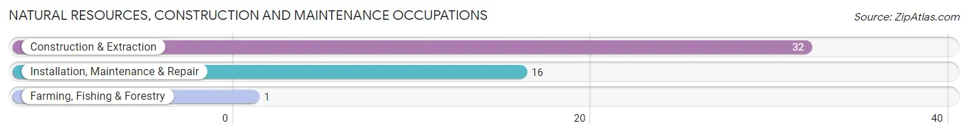 Natural Resources, Construction and Maintenance Occupations in Ava