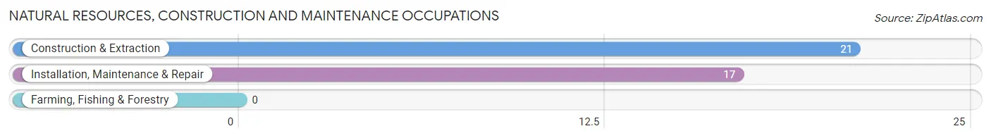 Natural Resources, Construction and Maintenance Occupations in Avon