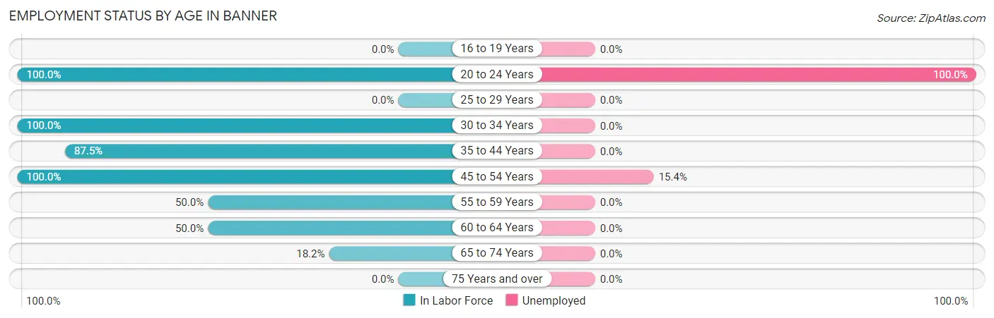 Employment Status by Age in Banner