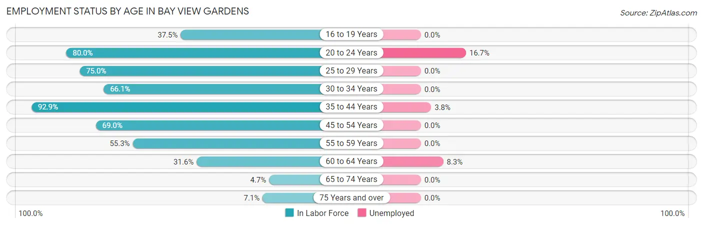Employment Status by Age in Bay View Gardens