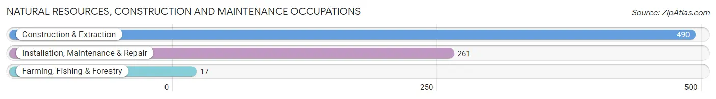 Natural Resources, Construction and Maintenance Occupations in Beach Park