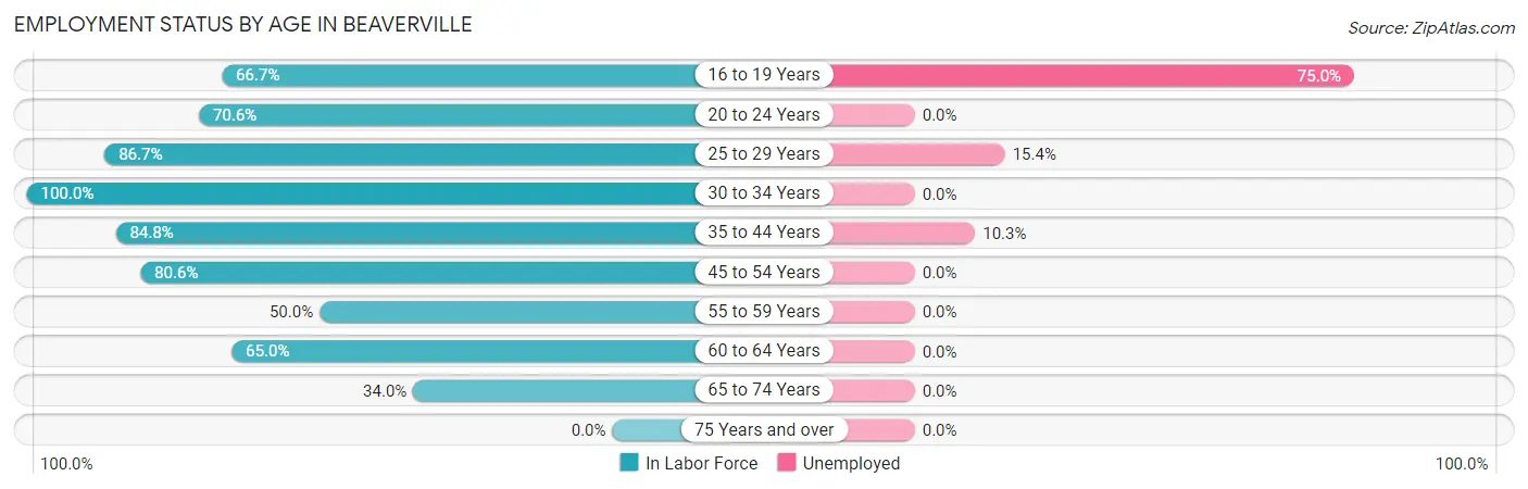 Employment Status by Age in Beaverville