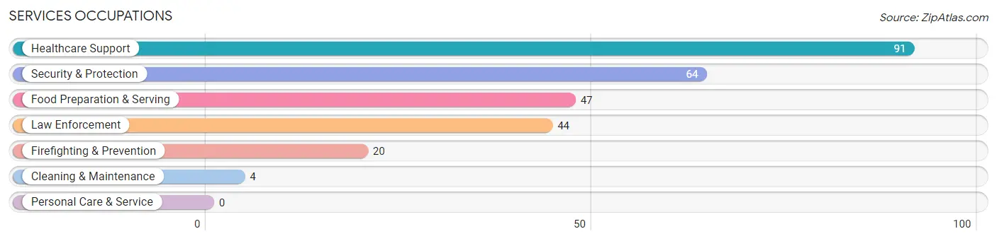 Services Occupations in Beecher