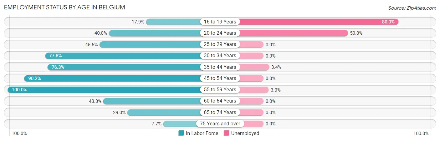 Employment Status by Age in Belgium