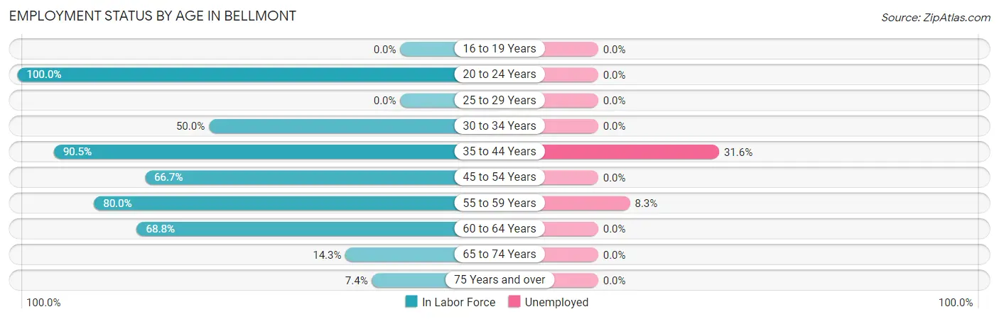 Employment Status by Age in Bellmont