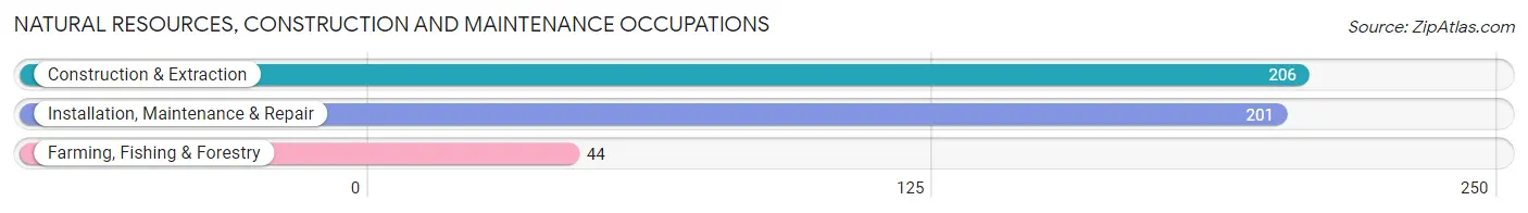 Natural Resources, Construction and Maintenance Occupations in Bellwood