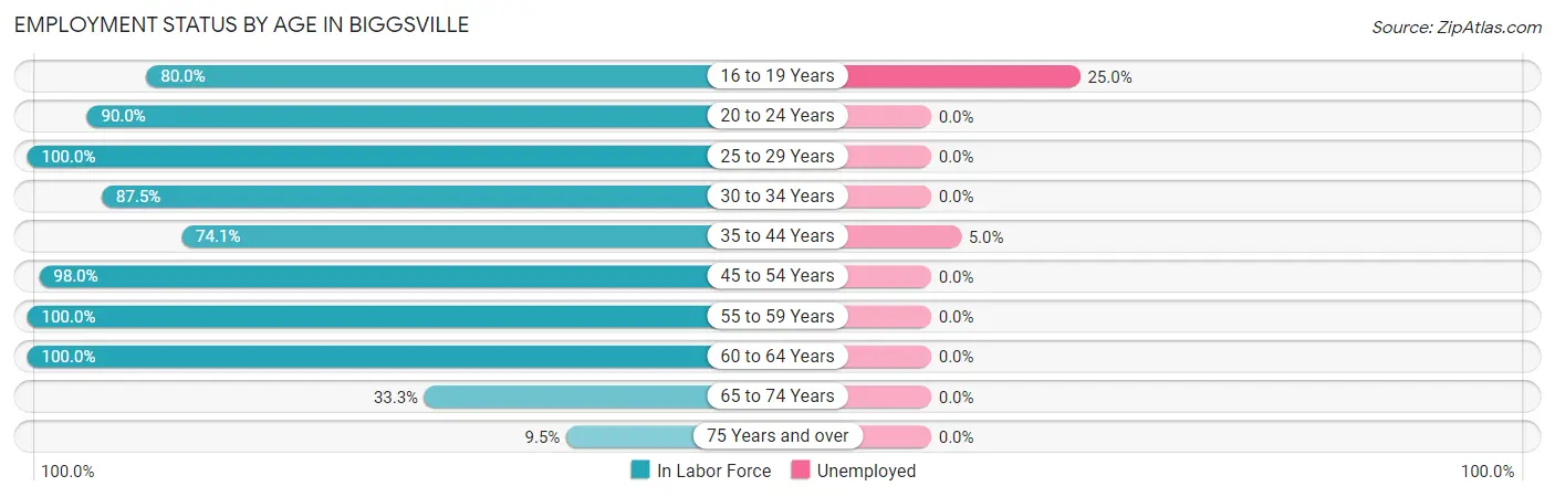 Employment Status by Age in Biggsville