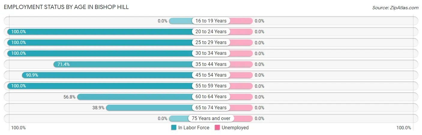 Employment Status by Age in Bishop Hill
