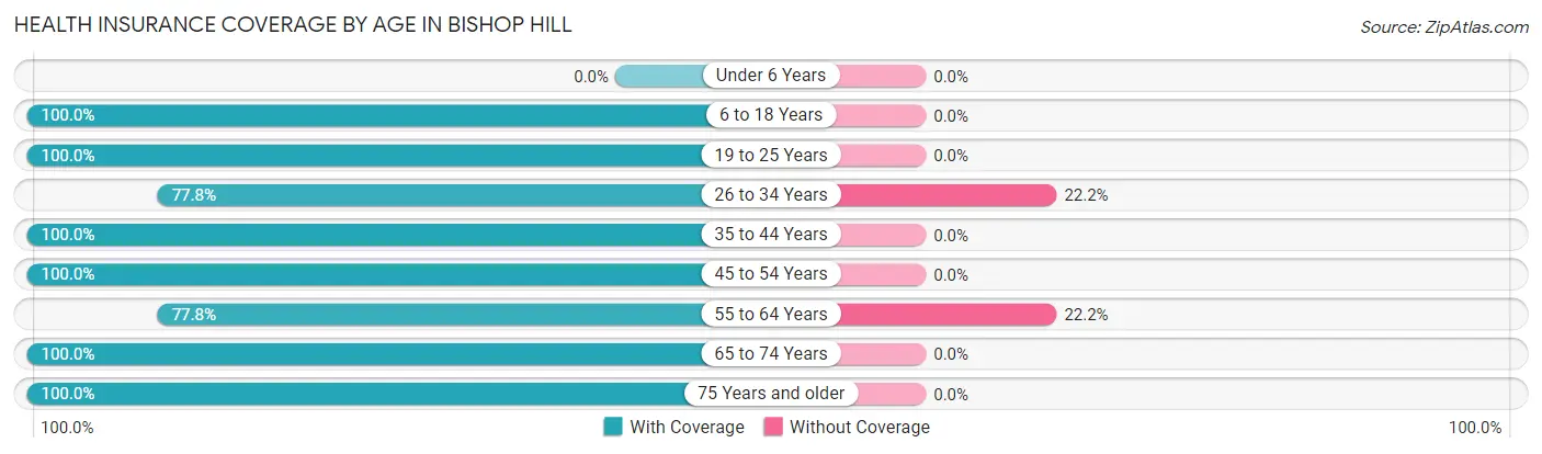 Health Insurance Coverage by Age in Bishop Hill