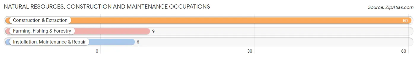 Natural Resources, Construction and Maintenance Occupations in Blue Mound