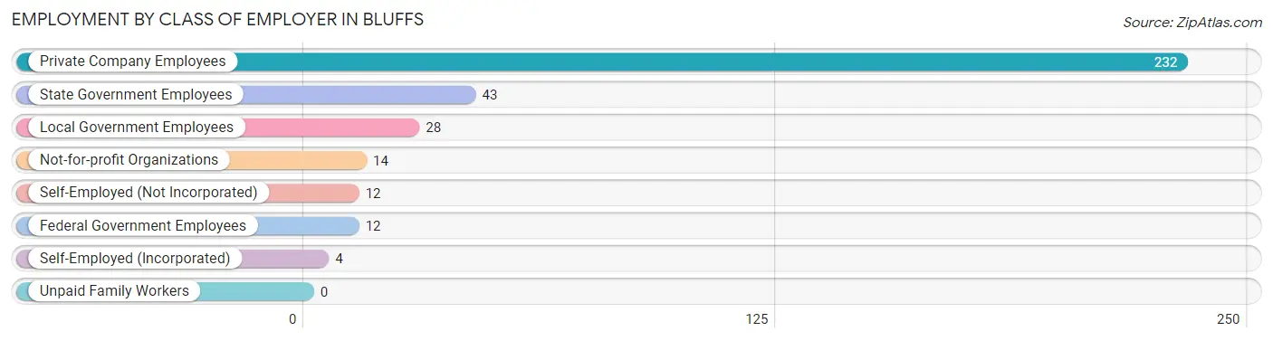 Employment by Class of Employer in Bluffs