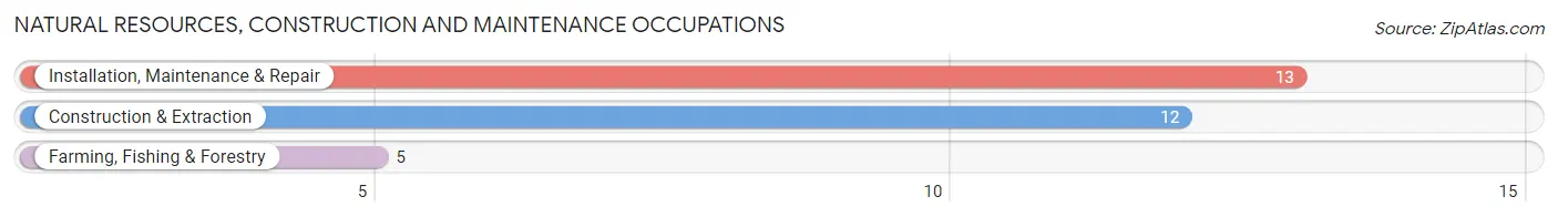 Natural Resources, Construction and Maintenance Occupations in Bluford