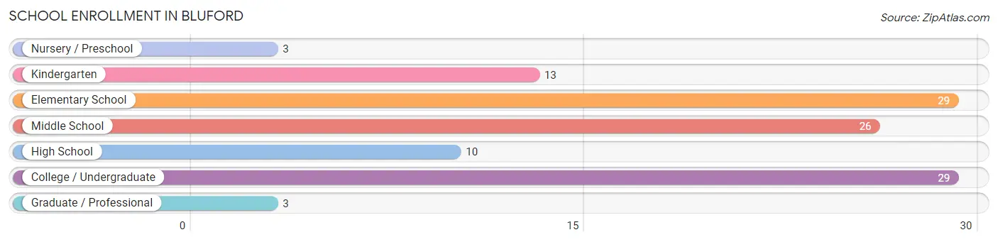School Enrollment in Bluford