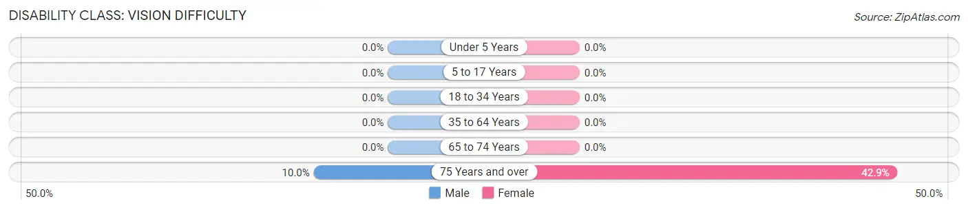 Disability in Bluford: <span>Vision Difficulty</span>