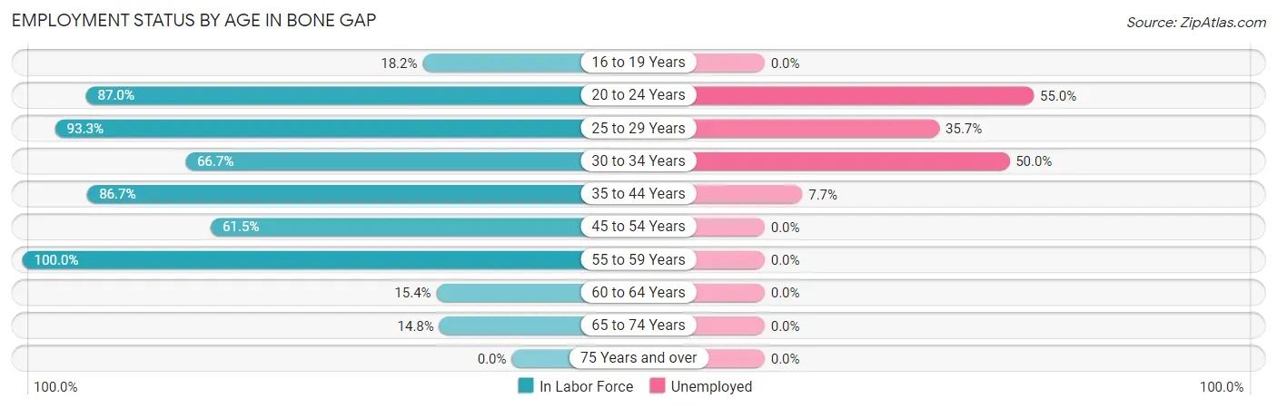 Employment Status by Age in Bone Gap