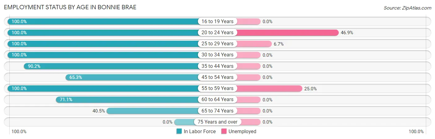 Employment Status by Age in Bonnie Brae