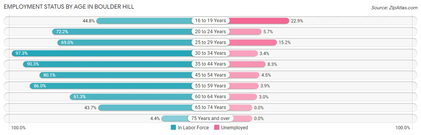 Employment Status by Age in Boulder Hill