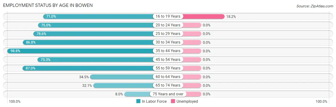 Employment Status by Age in Bowen