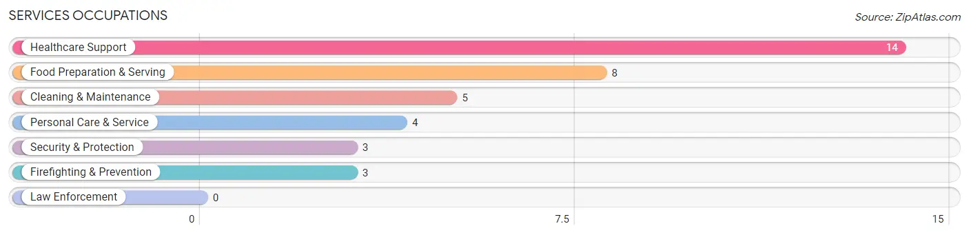 Services Occupations in Braceville