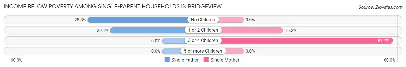Income Below Poverty Among Single-Parent Households in Bridgeview