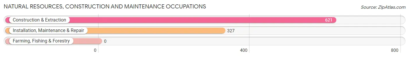 Natural Resources, Construction and Maintenance Occupations in Bridgeview