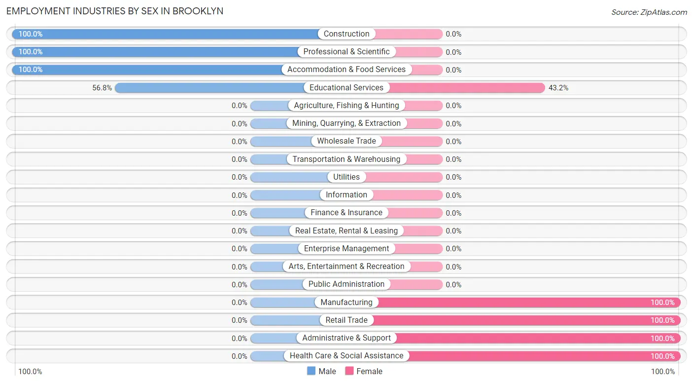 Employment Industries by Sex in Brooklyn