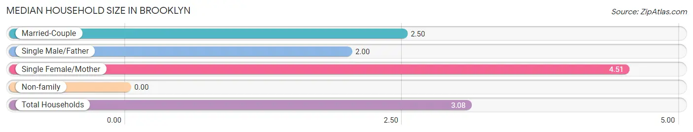 Median Household Size in Brooklyn