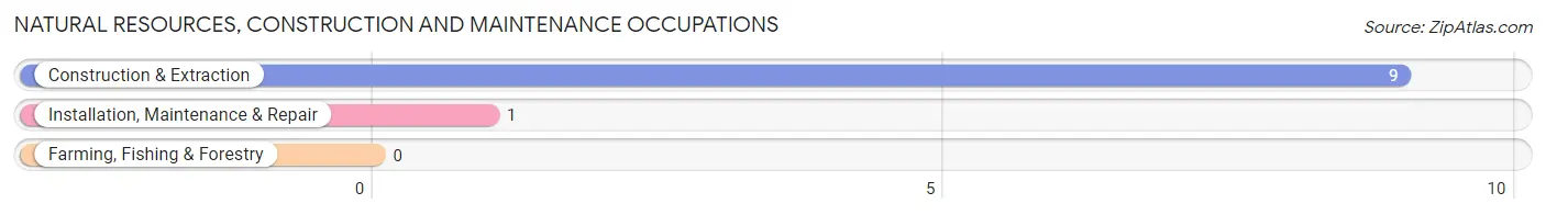 Natural Resources, Construction and Maintenance Occupations in Brooklyn