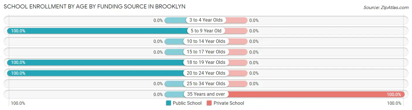 School Enrollment by Age by Funding Source in Brooklyn