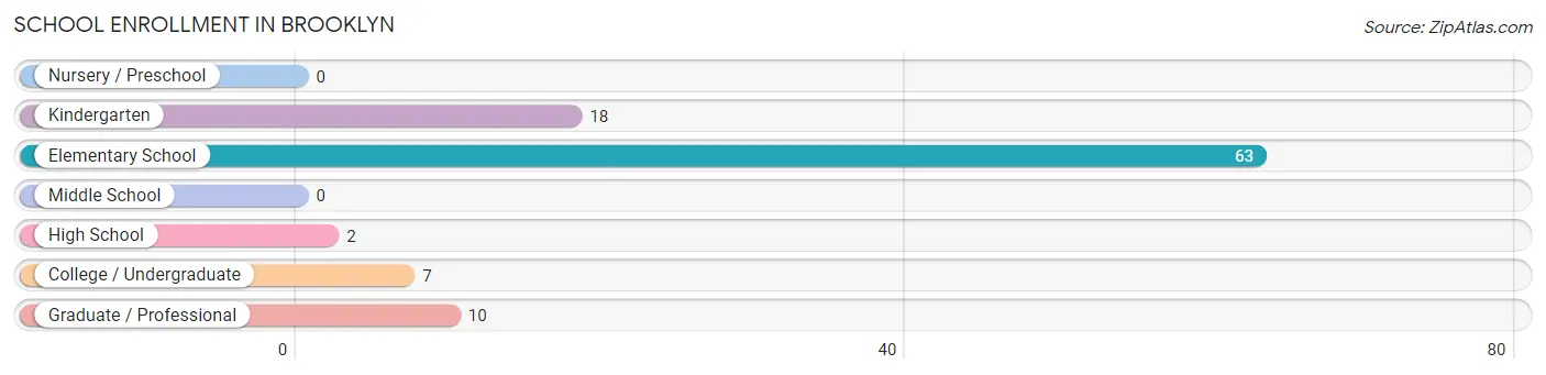 School Enrollment in Brooklyn