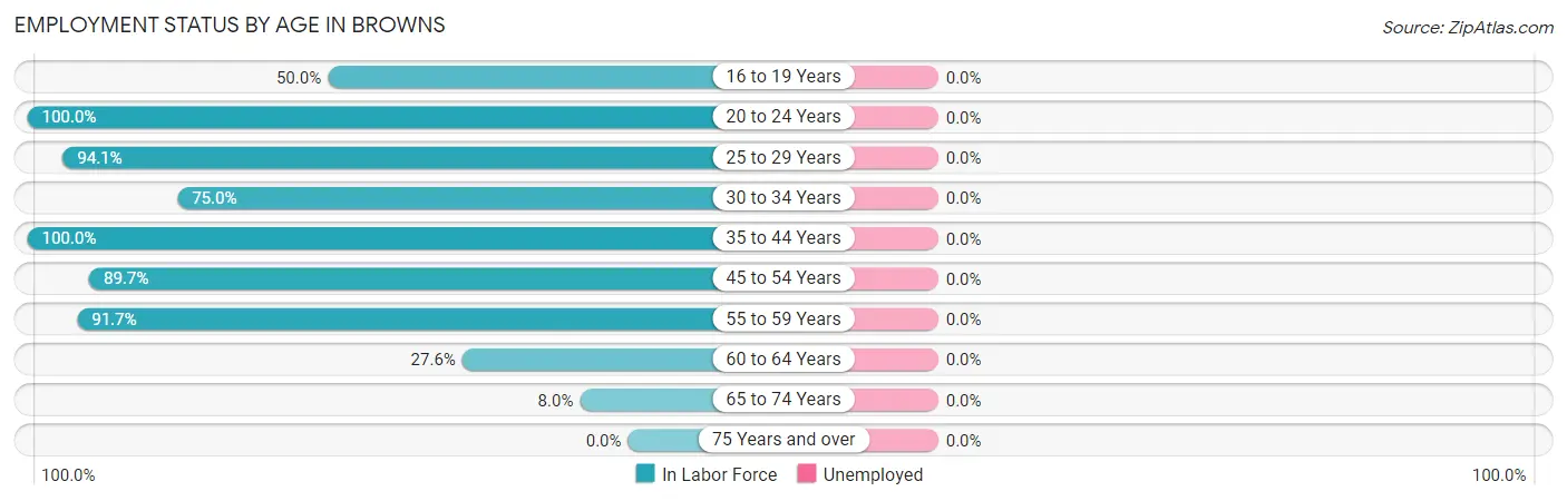 Employment Status by Age in Browns