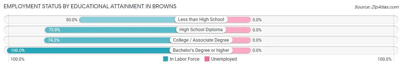 Employment Status by Educational Attainment in Browns