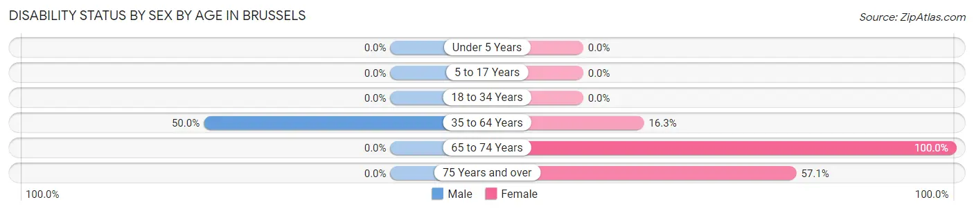 Disability Status by Sex by Age in Brussels