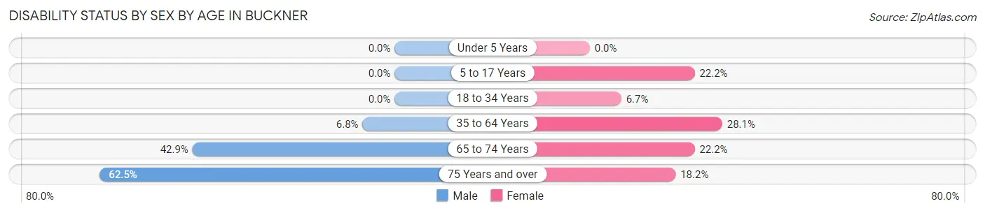 Disability Status by Sex by Age in Buckner