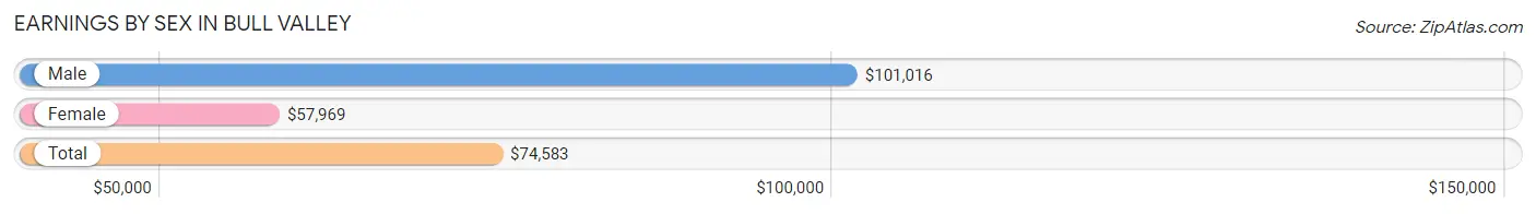 Earnings by Sex in Bull Valley