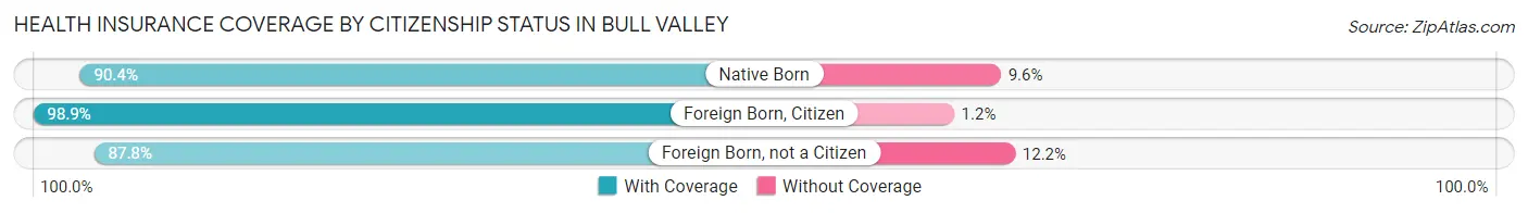 Health Insurance Coverage by Citizenship Status in Bull Valley