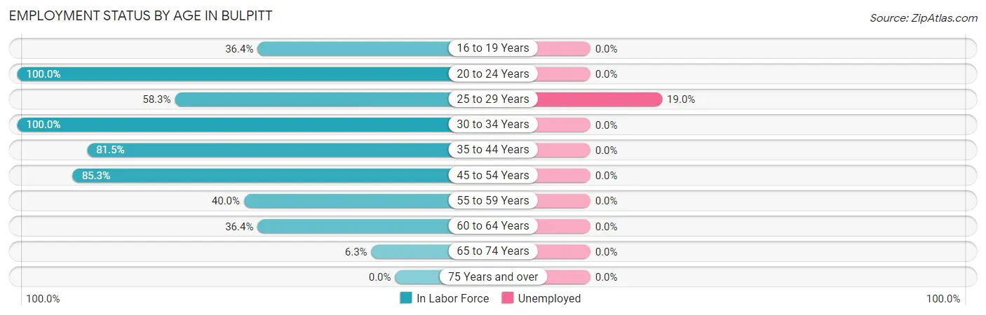 Employment Status by Age in Bulpitt