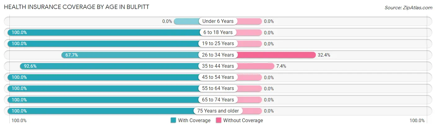 Health Insurance Coverage by Age in Bulpitt