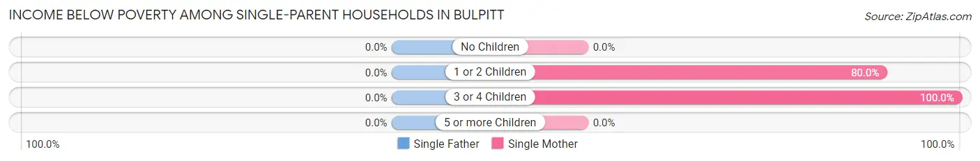 Income Below Poverty Among Single-Parent Households in Bulpitt