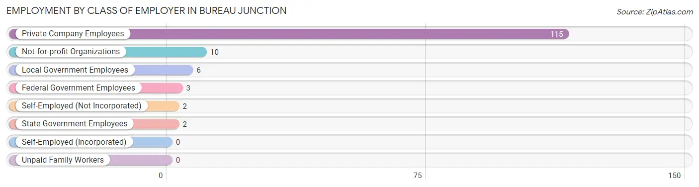 Employment by Class of Employer in Bureau Junction