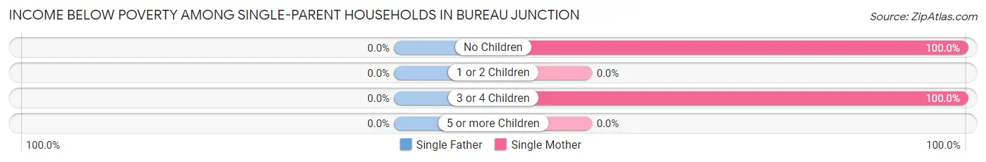 Income Below Poverty Among Single-Parent Households in Bureau Junction