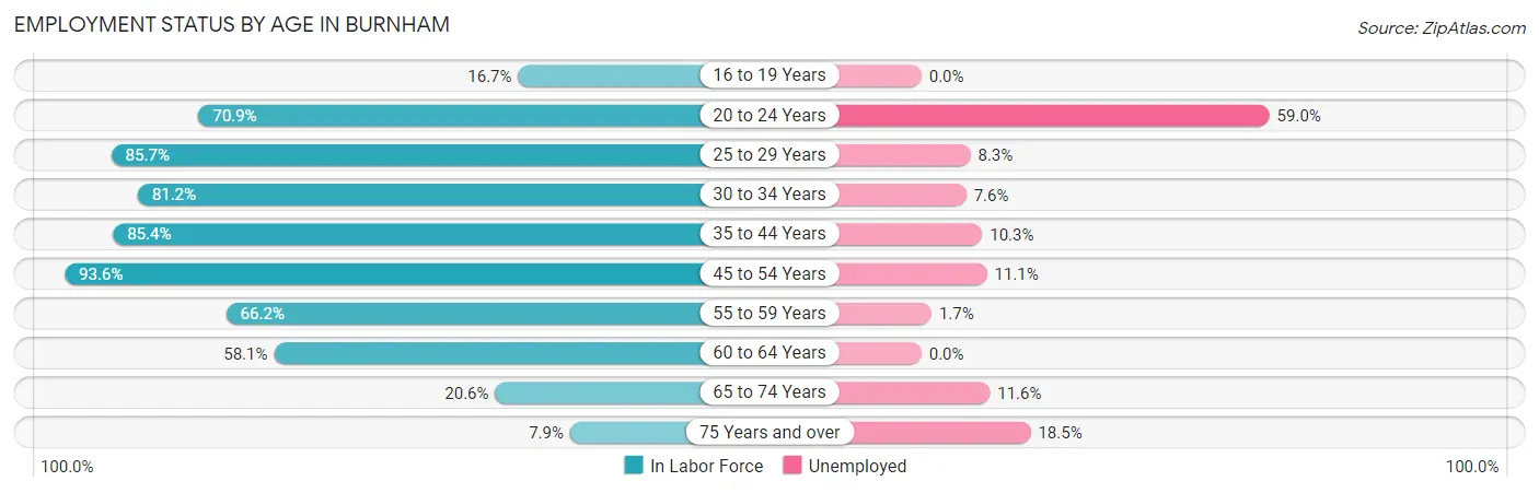 Employment Status by Age in Burnham