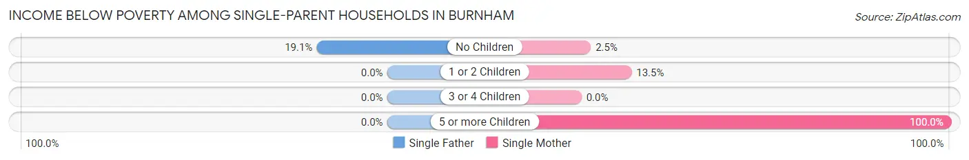 Income Below Poverty Among Single-Parent Households in Burnham