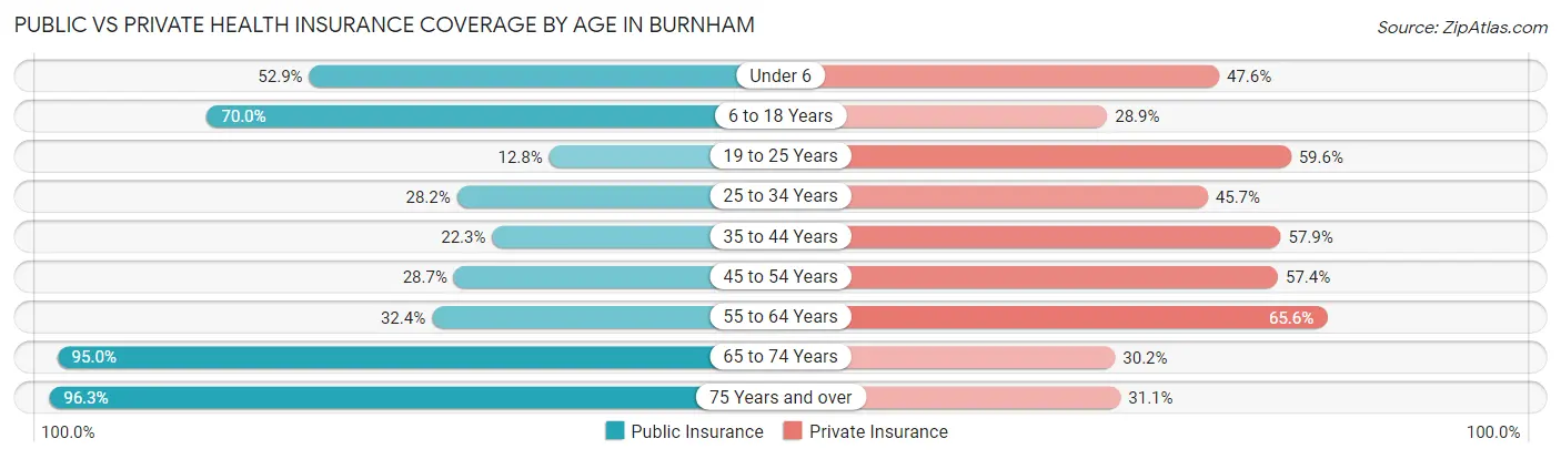 Public vs Private Health Insurance Coverage by Age in Burnham