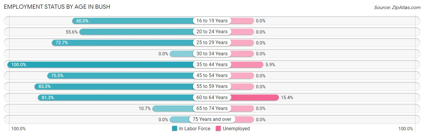 Employment Status by Age in Bush