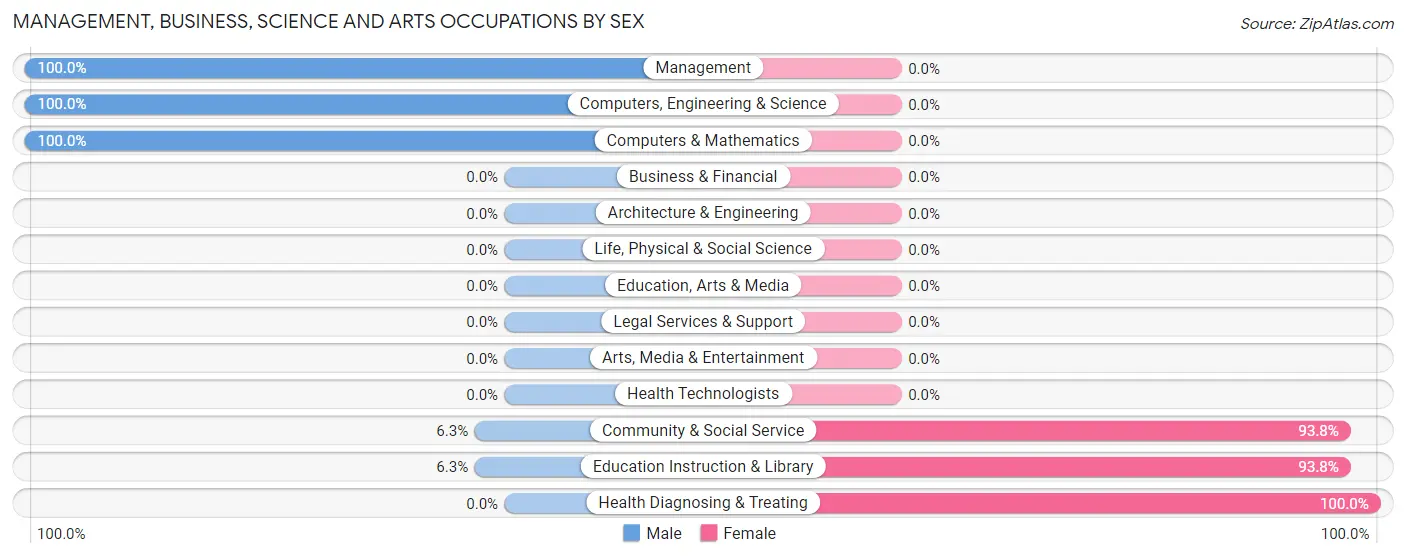 Management, Business, Science and Arts Occupations by Sex in Bush