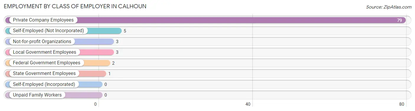 Employment by Class of Employer in Calhoun