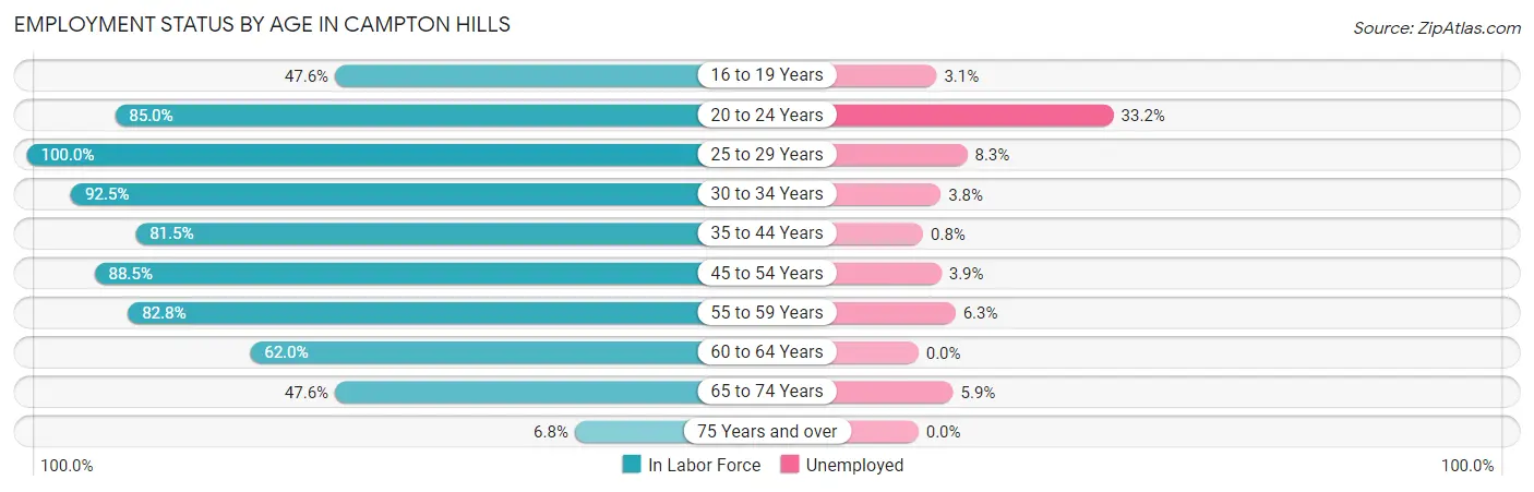 Employment Status by Age in Campton Hills