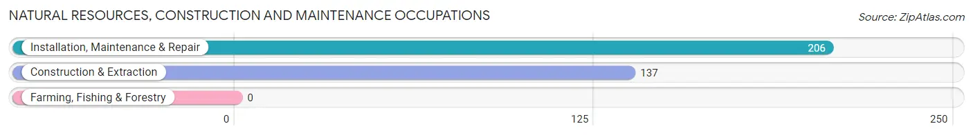 Natural Resources, Construction and Maintenance Occupations in Caseyville