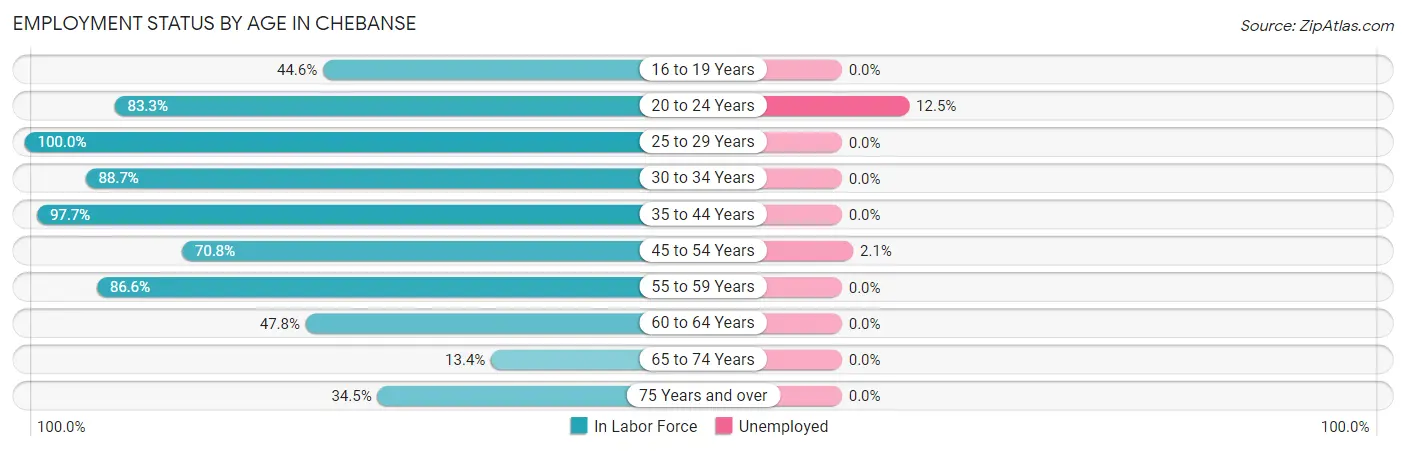 Employment Status by Age in Chebanse